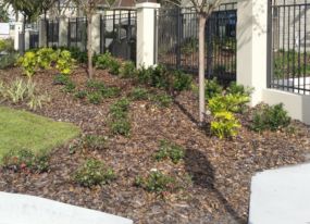 Landscaping Lakeland FL
